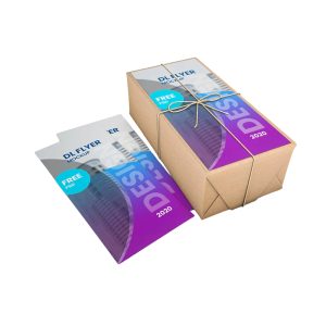 DL Flyers 300gsm Gloss Board 500